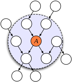 Figure 3: An illustration of the Markov Blanket. (Source)