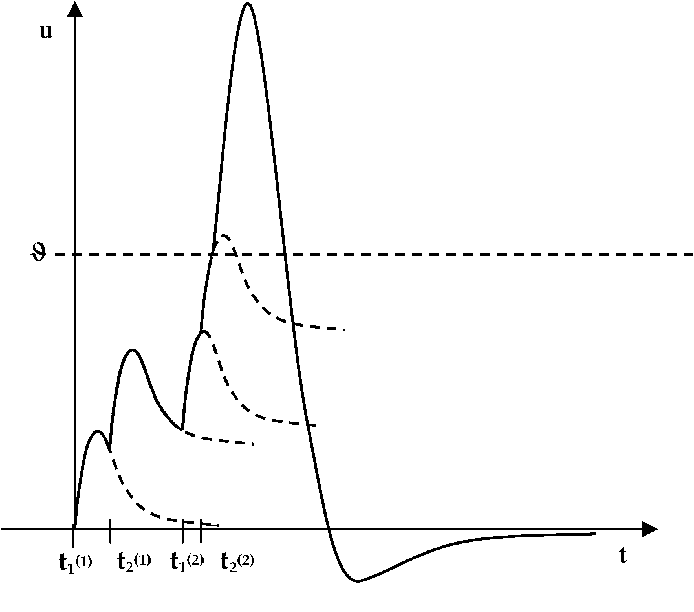Figure 1: Membrane potential over time. Source: (Murilo Saraiva de Queiroz et al., 2006)