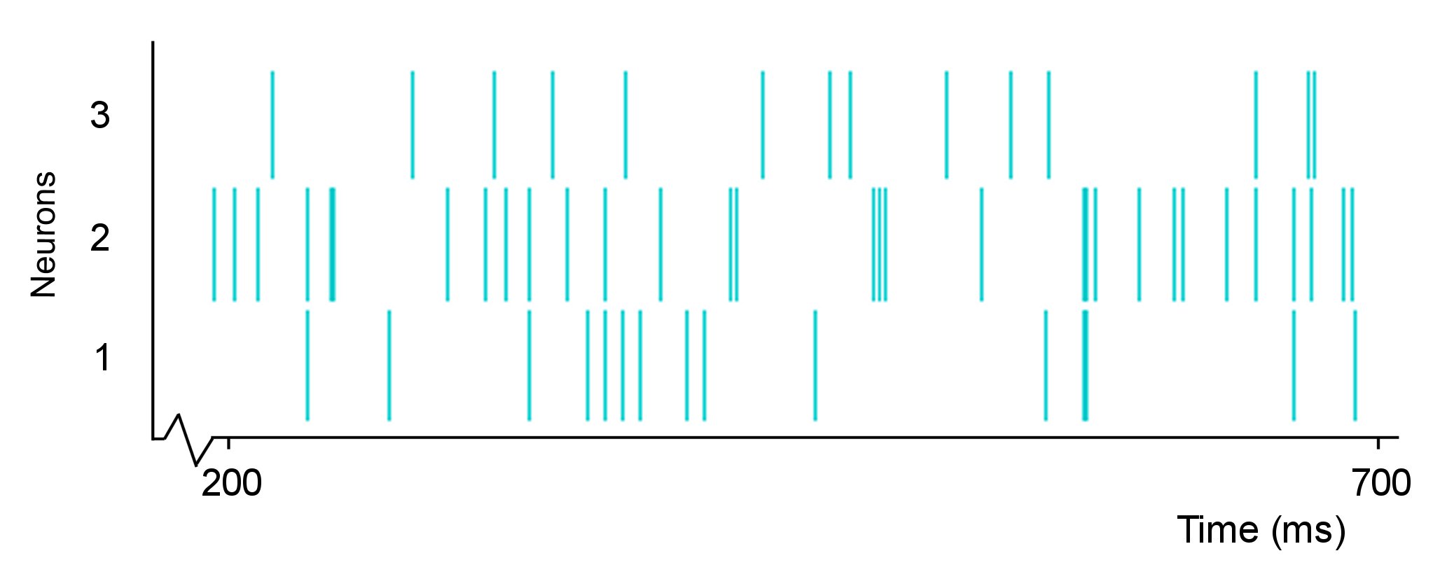 Figure 2: Spike Trains for 3 neurons